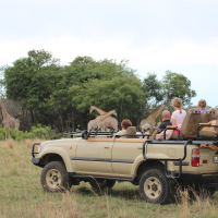 georganiseerde safari zuid afrika